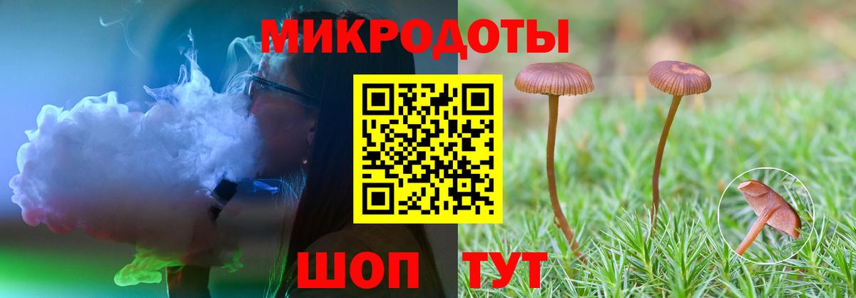 Балтийск  Псилоцибиновые грибы MAGIC MUSHROOMS  Вход с VPN 
